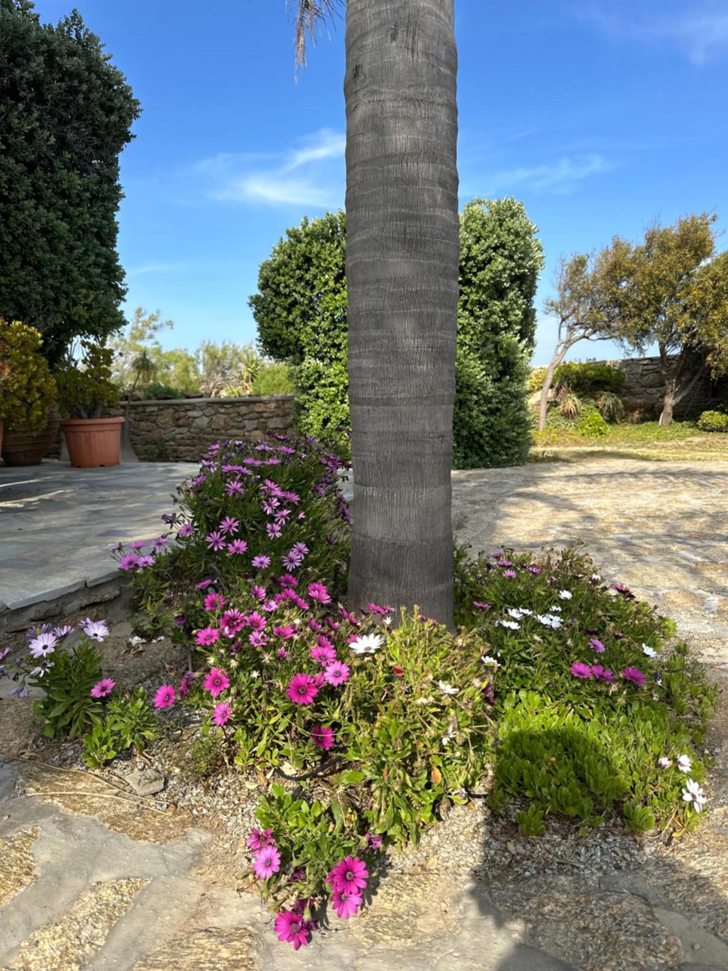 Divers House Agrari  Exterior foto